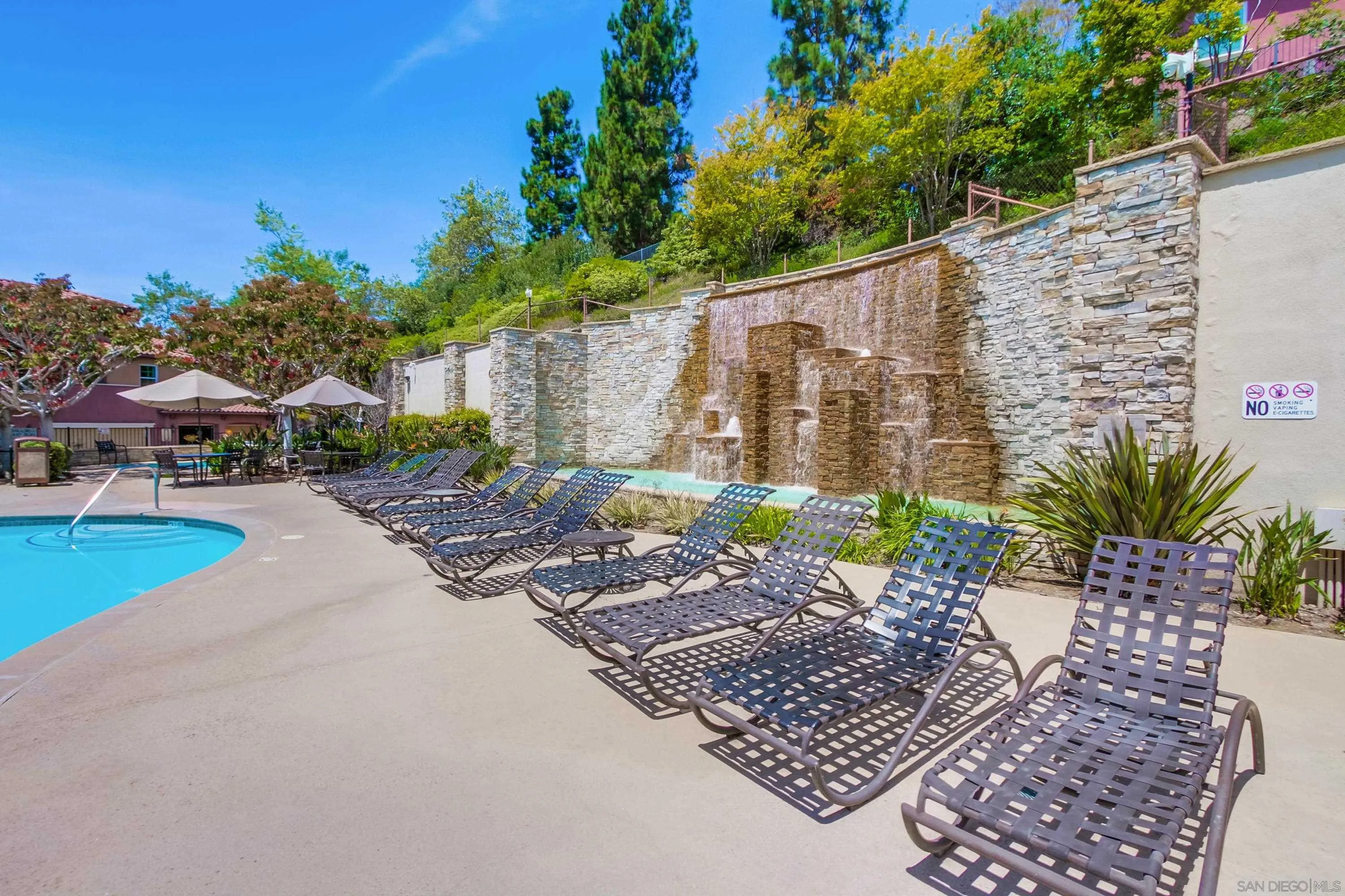 1184 Highbluff Avenue San Marcos, CA 92078 - Photo 53 of 63 a view of a backyard with plants and tree