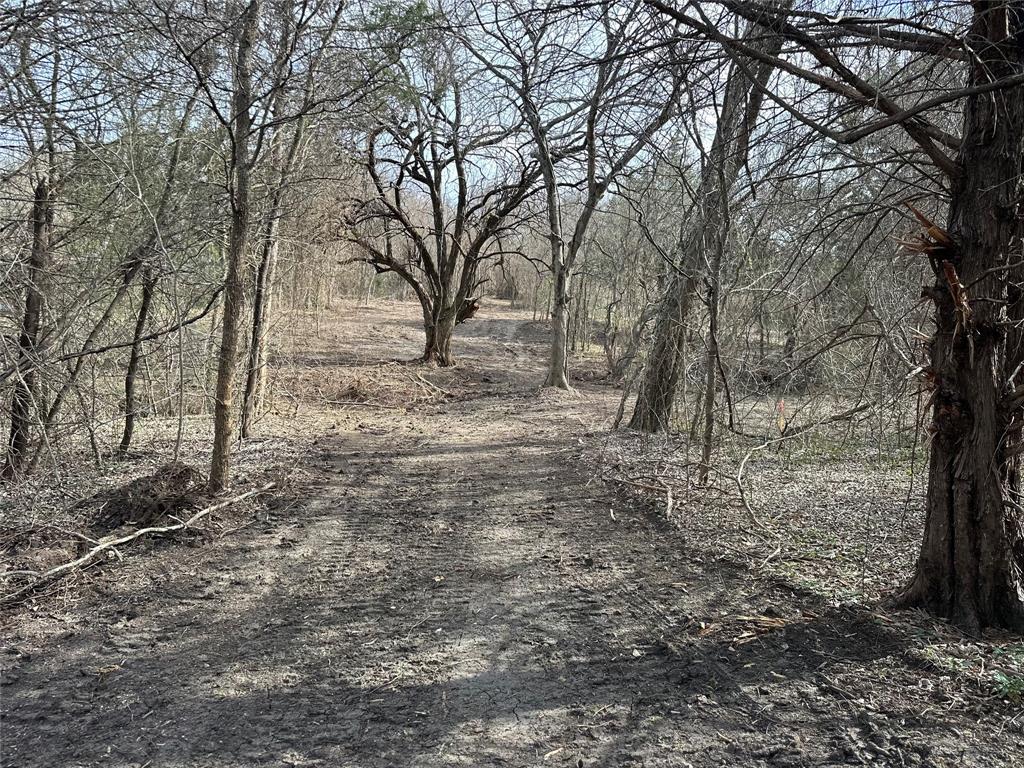 0 Sandswitch Road Ennis, TX 75119 - Photo 7 of 31 a view of a yard with large trees