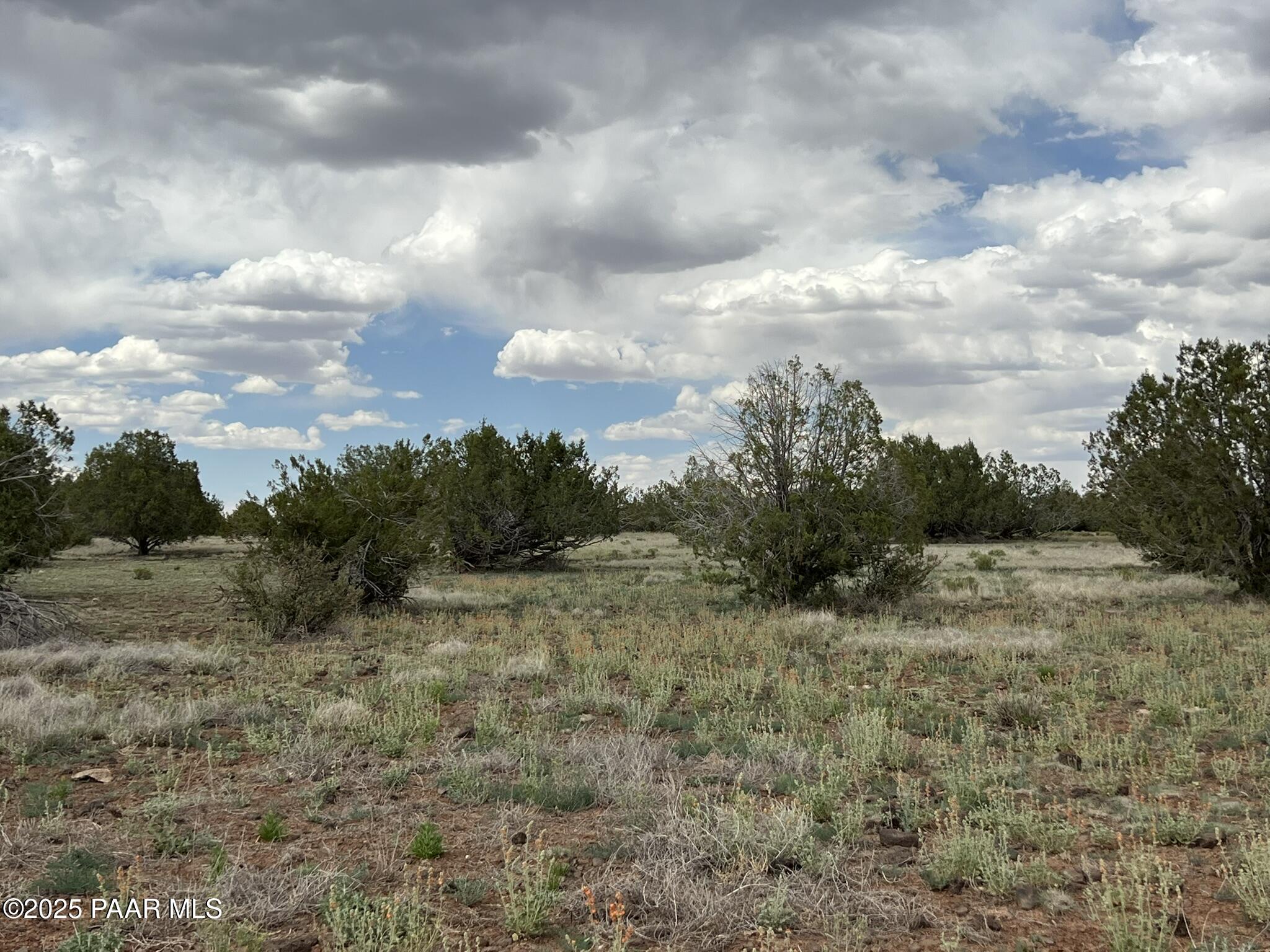 2715 West Plate Road Williams, AZ 86046 - Photo 3 of 6 IMG_8187