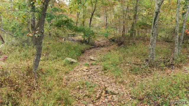 $400,000 | 100 Cool Breeze Lane, Fredericktown, MO 63645