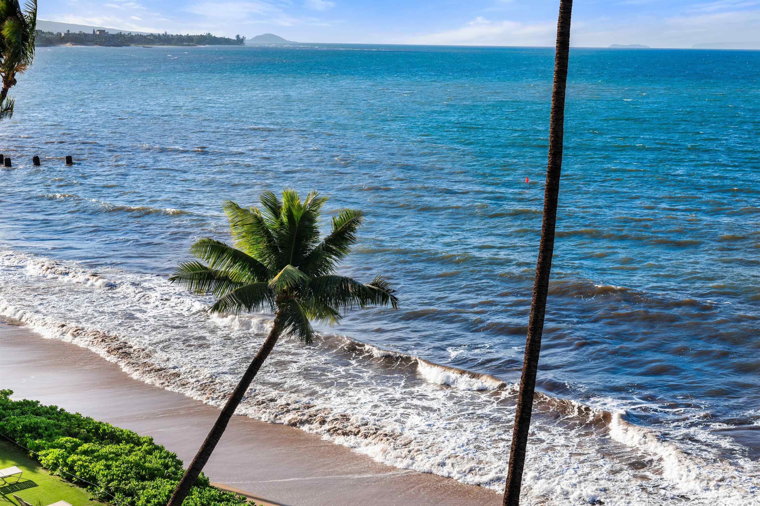 36 South Kihei Road, Unit 603 Kihei, HI 96753 - Photo 18 of 37 a view of a garden