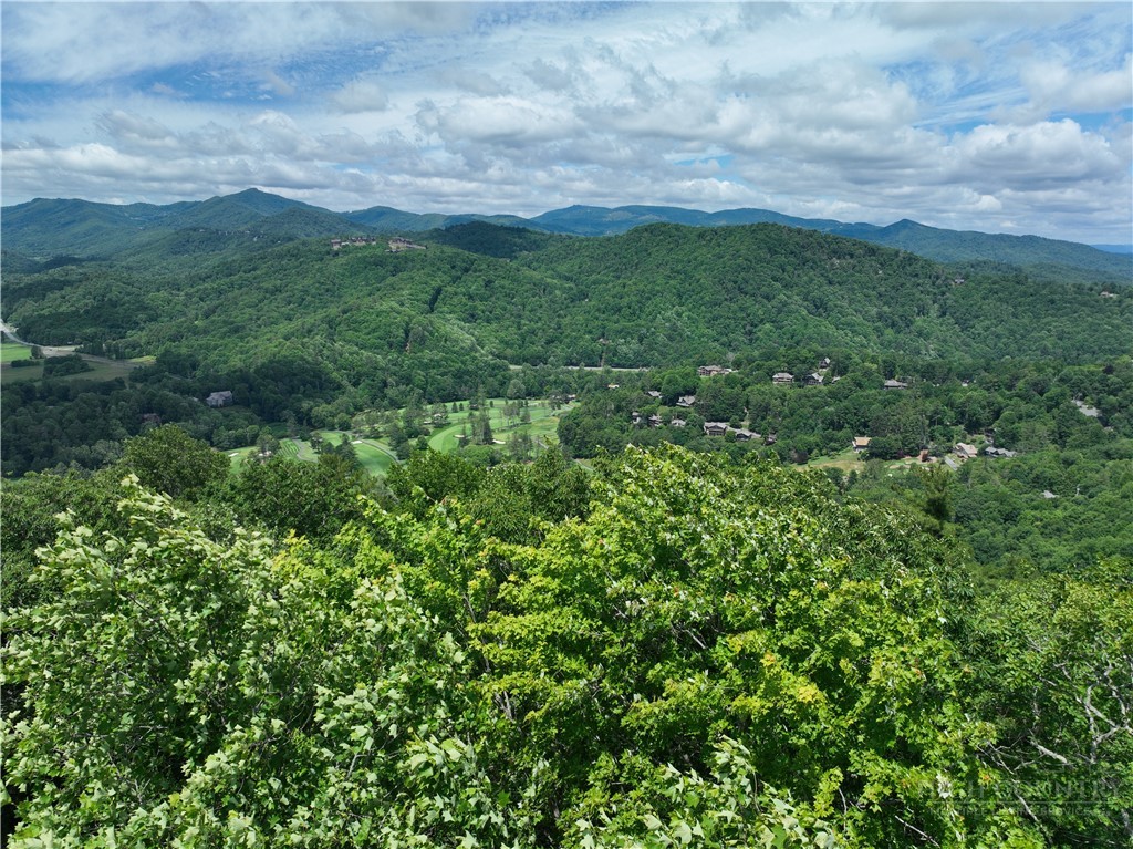 Lot 21 Boxwood Boone, NC 28607 - Photo 2 of 6 a view of a green field with lots of bushes
