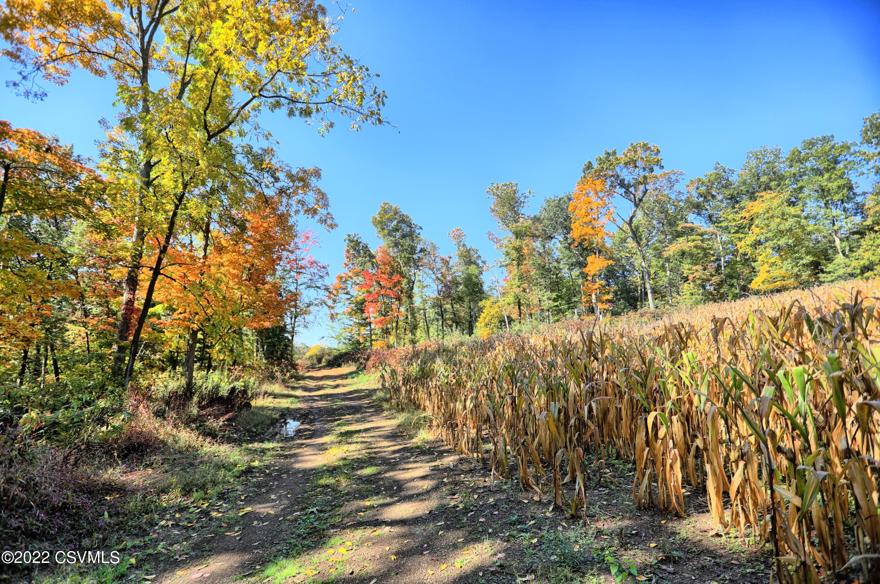 6773 Old Stage Road McClure, PA 17841 - Photo 30 of 49