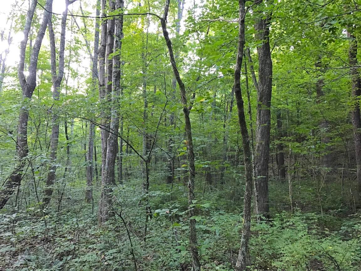 0 Adelphia Road Wellston, OH 45692 - Photo 13 of 48