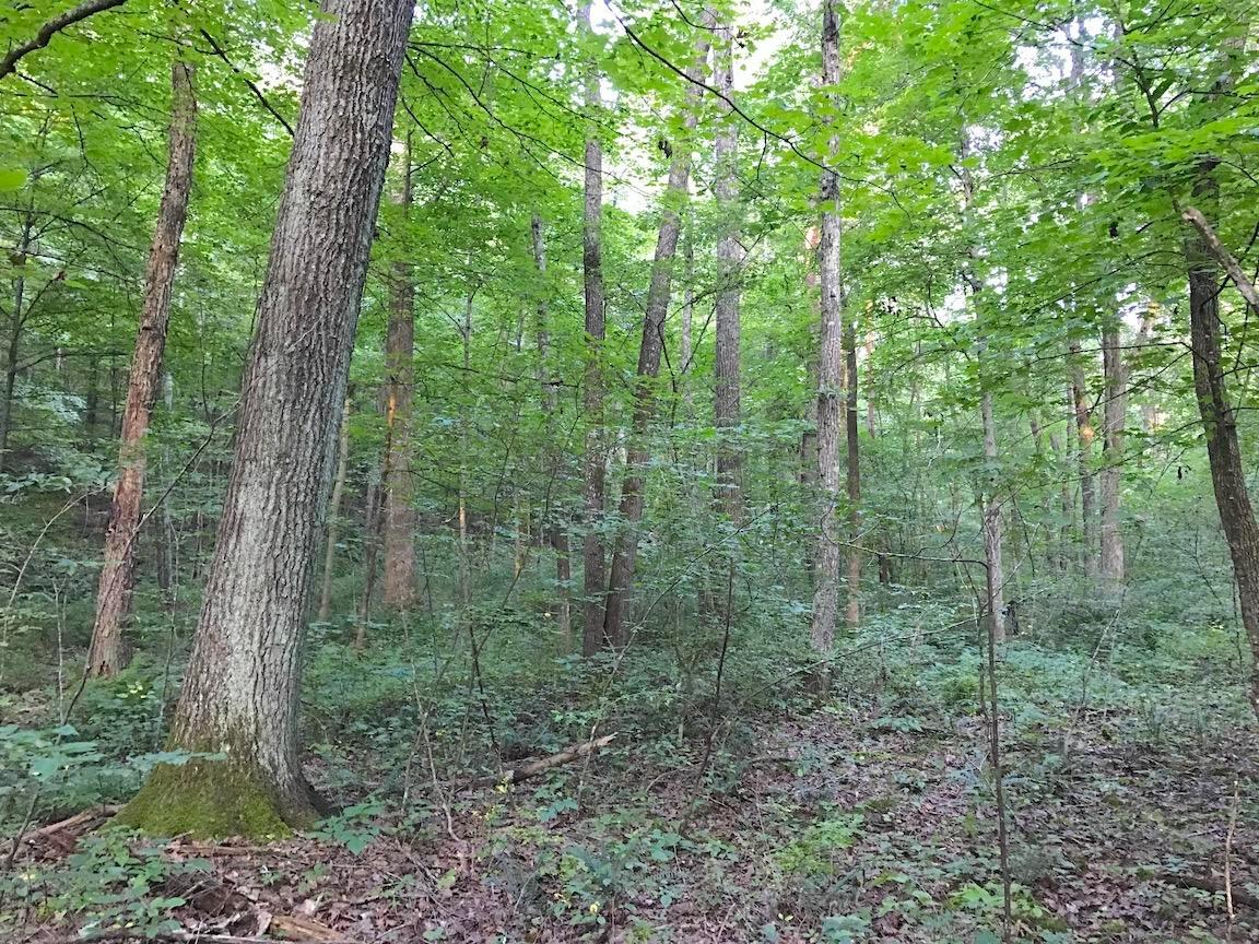 0 Adelphia Road Wellston, OH 45692 - Photo 14 of 48