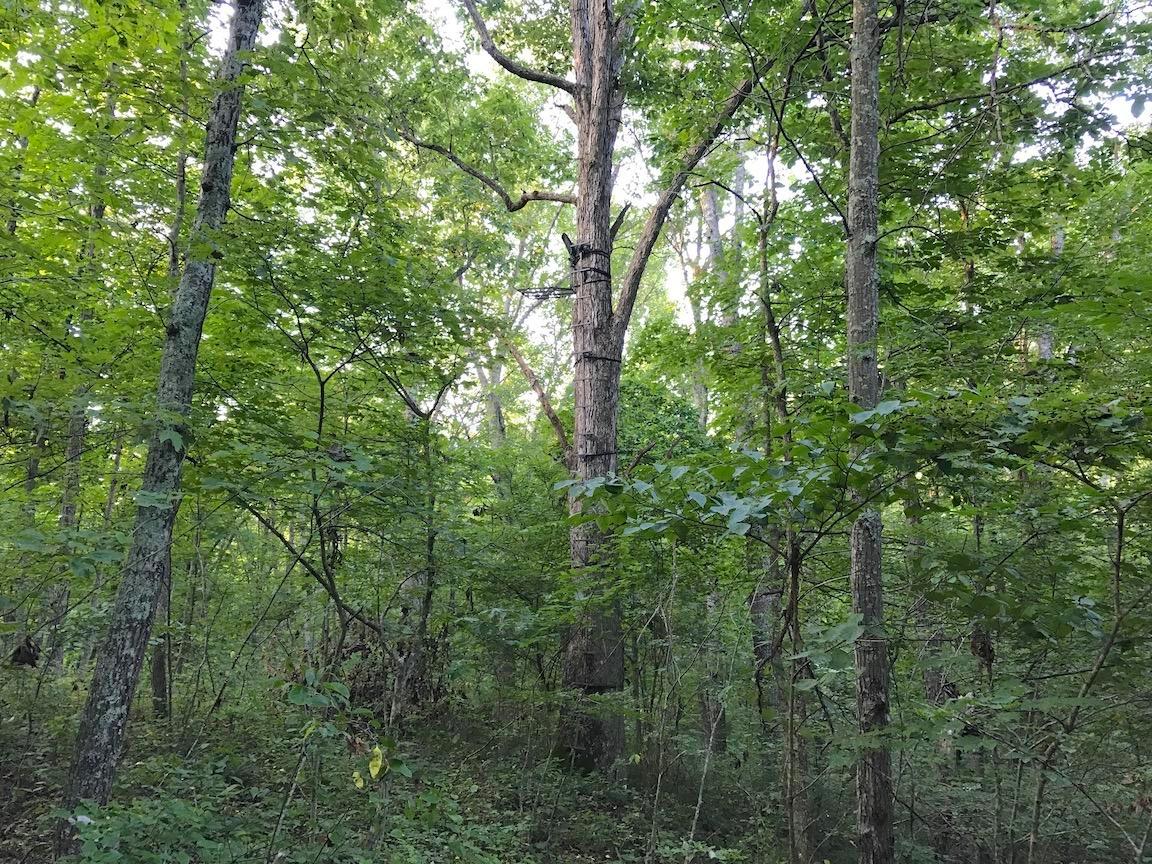 0 Adelphia Road Wellston, OH 45692 - Photo 20 of 48