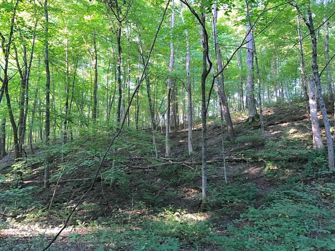 0 Adelphia Road Wellston, OH 45692 - Photo 28 of 48