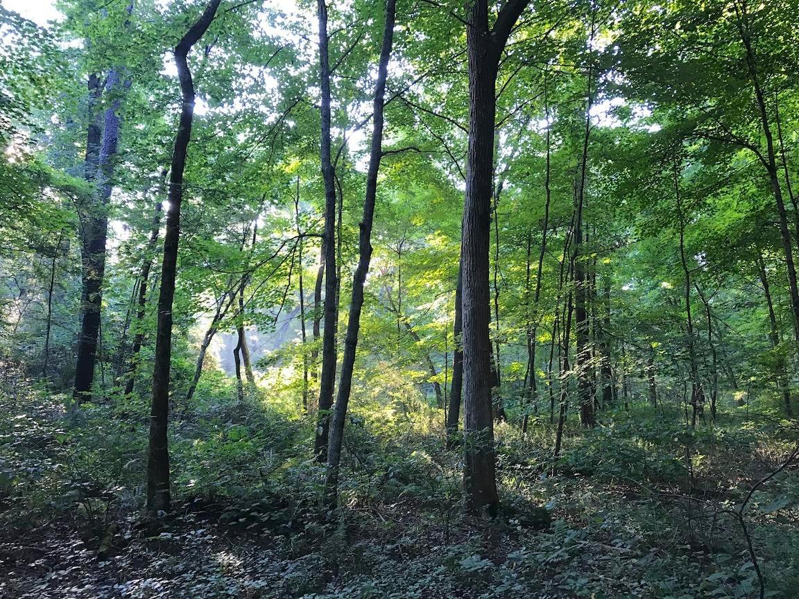 0 Adelphia Road Wellston, OH 45692 - Photo 29 of 48