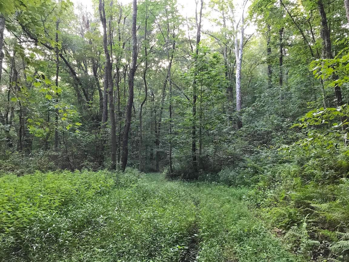 0 Adelphia Road Wellston, OH 45692 - Photo 6 of 48