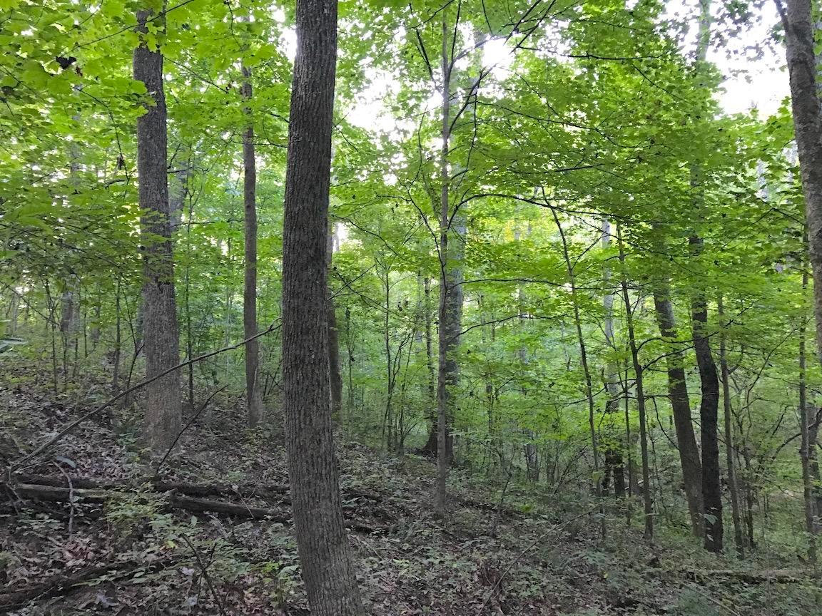 0 Adelphia Road Wellston, OH 45692 - Photo 8 of 48