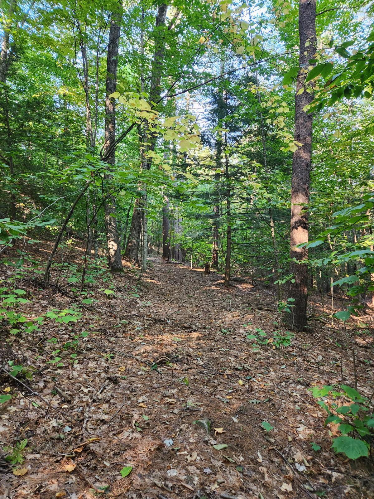 14 Webster Road Greene, ME 04236 - Photo 52 of 53 14215