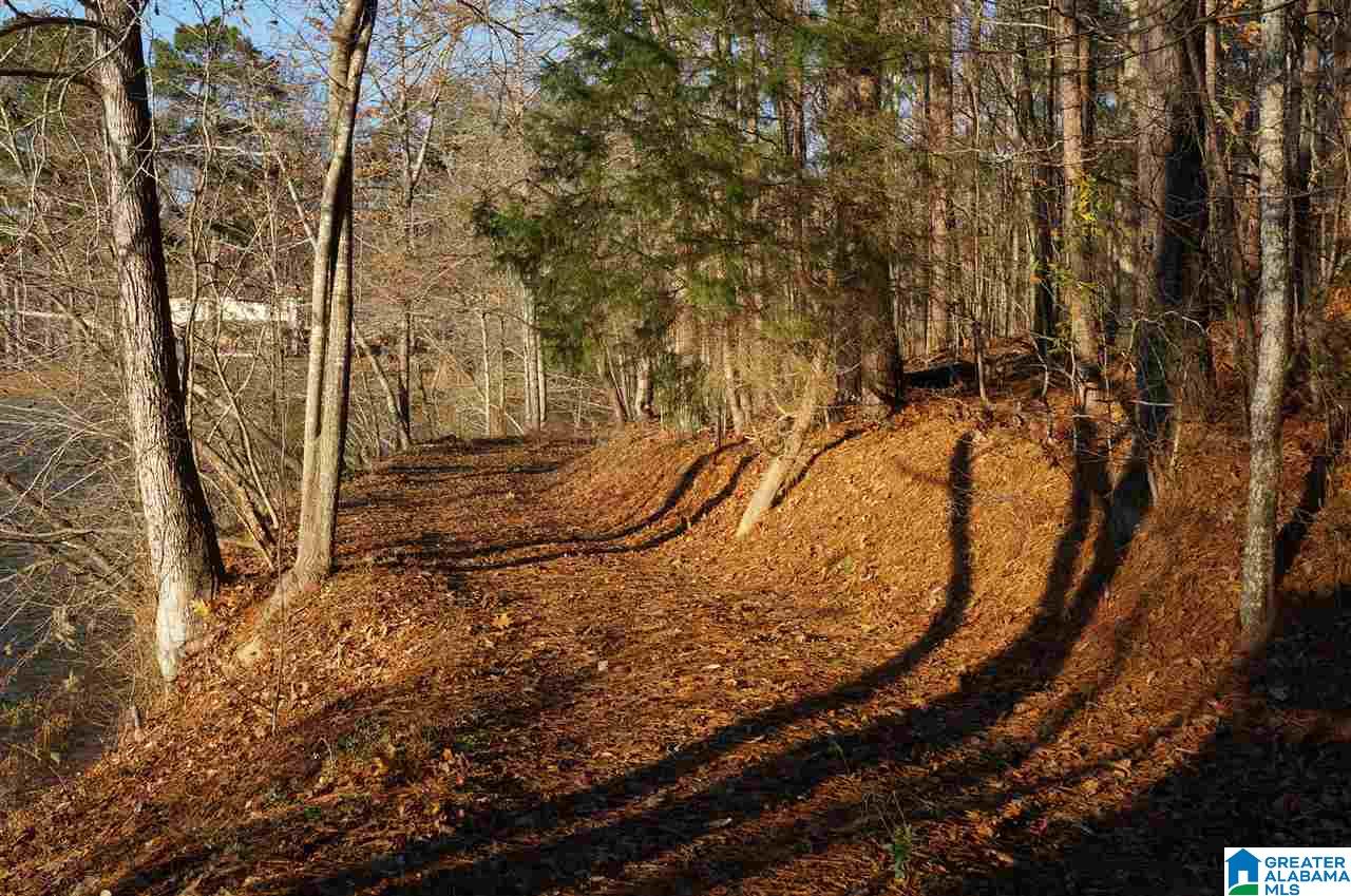 0 Azalea Road, Unit 92 ACRES Sylacauga, AL 35150 - Photo 4 of 9