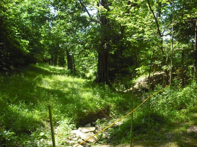 3201 St Johns Road Frankfort, KY 40601 - Photo 3 of 54 Photo 3