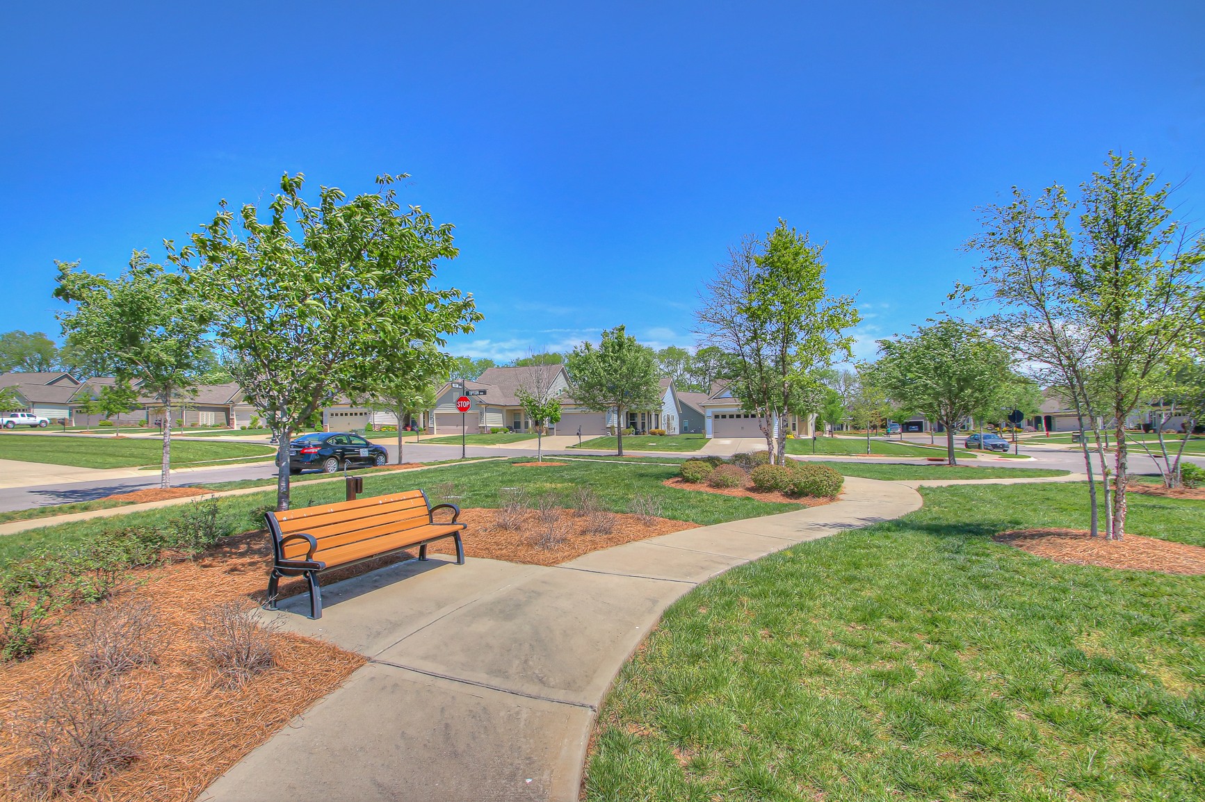 104 Tipton Pass Spring Hill, TN 37174 - Photo 32 of 40 a park view with a bench and trees