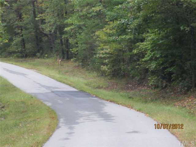 0 Bolton Road, Unit B Semora, NC 27343 - Photo 3 of 3 Gallery Image 3