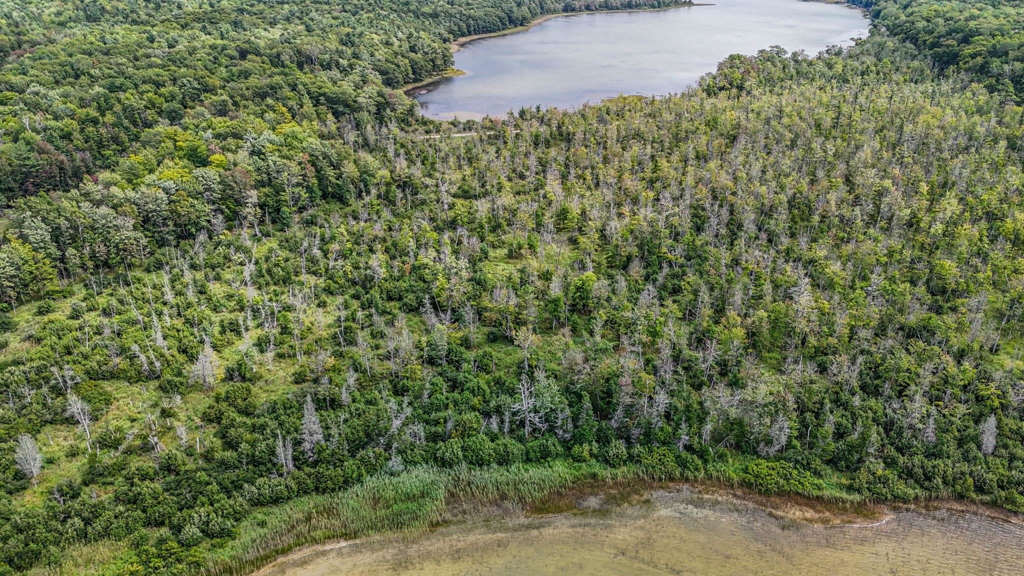 Parcel C Cooper Road Beulah, MI 49640 - Photo 6 of 10
