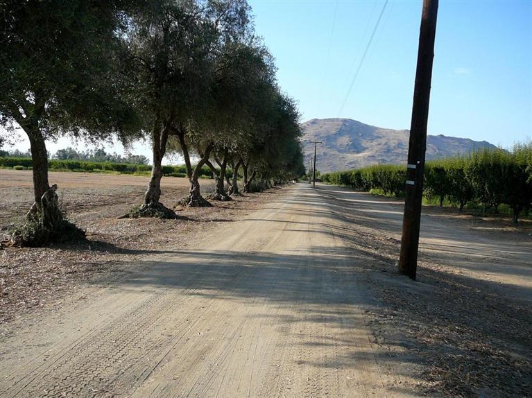 0 East American Avenue Reedley, CA 93654 - Photo 4 of 10 Gallery Image 4