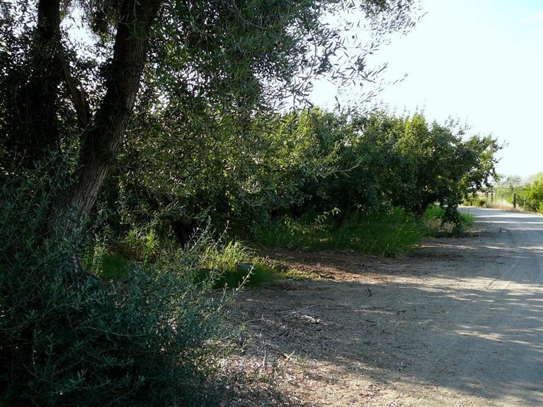 0 East American Avenue Reedley, CA 93654 - Photo 10 of 10 Gallery Image 10