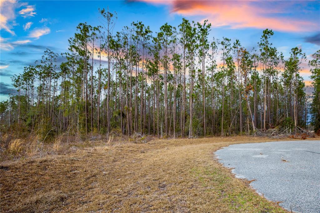 a backyard of a house with lots of green space