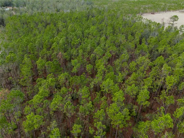 $63,500 | 211th Court, Live Oak, FL 32060