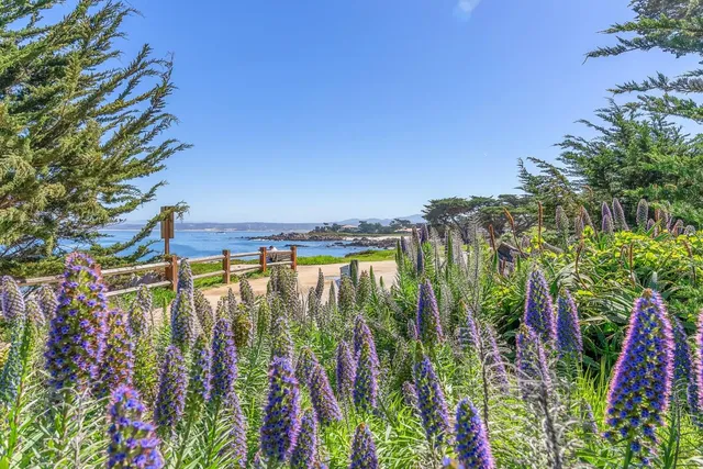 $1,449,000 | 1122 Presidio Boulevard, Pacific Grove, CA 93950