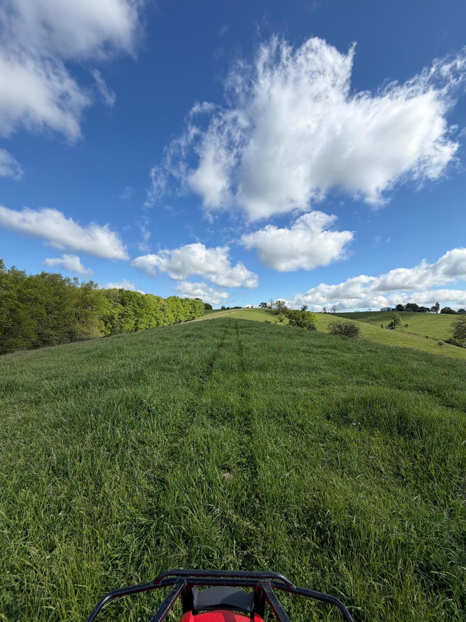 14.17-ac Chipman Ridge Road Williamstown, KY 41097 - Photo 10 of 18