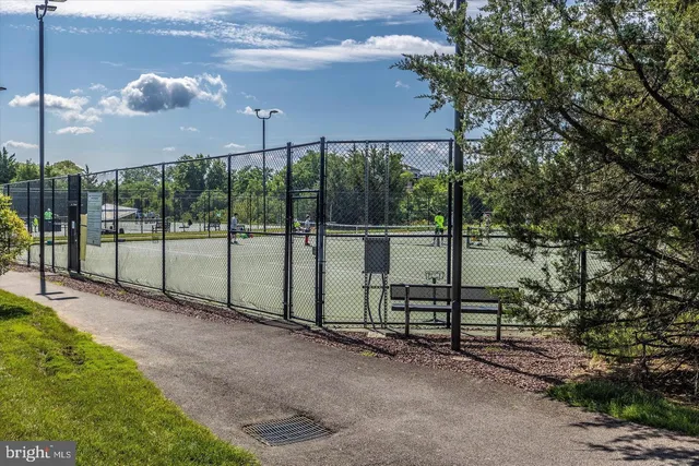 a view of a garden with an outdoor space
