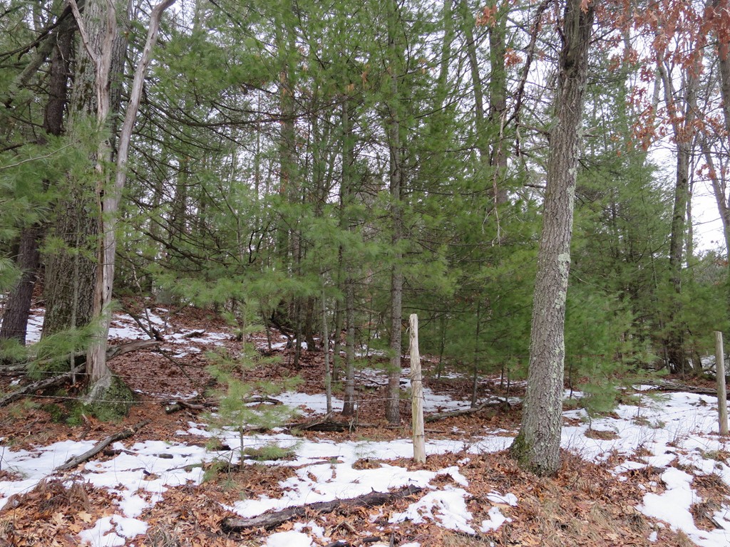 Lot 5 Bogan Road Monson, MA 01057 - Photo 5 of 15