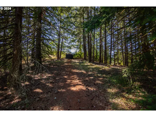 $443,000 | 773 Upper Ridge Road, Oakland, OR 97462