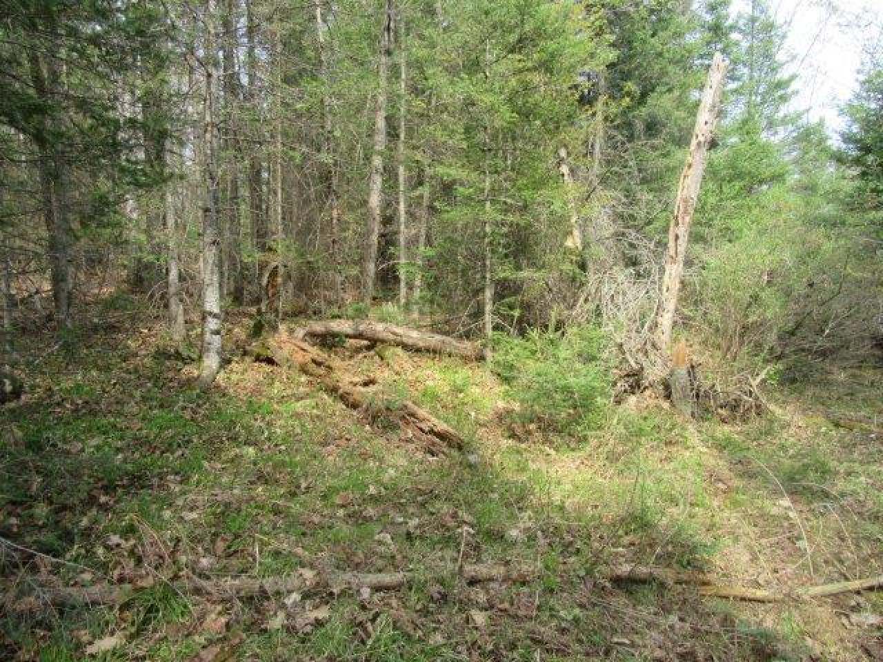 On Mallard Park Road Presque Isle, WI 54557 - Photo 7 of 11 Gallery Image 7