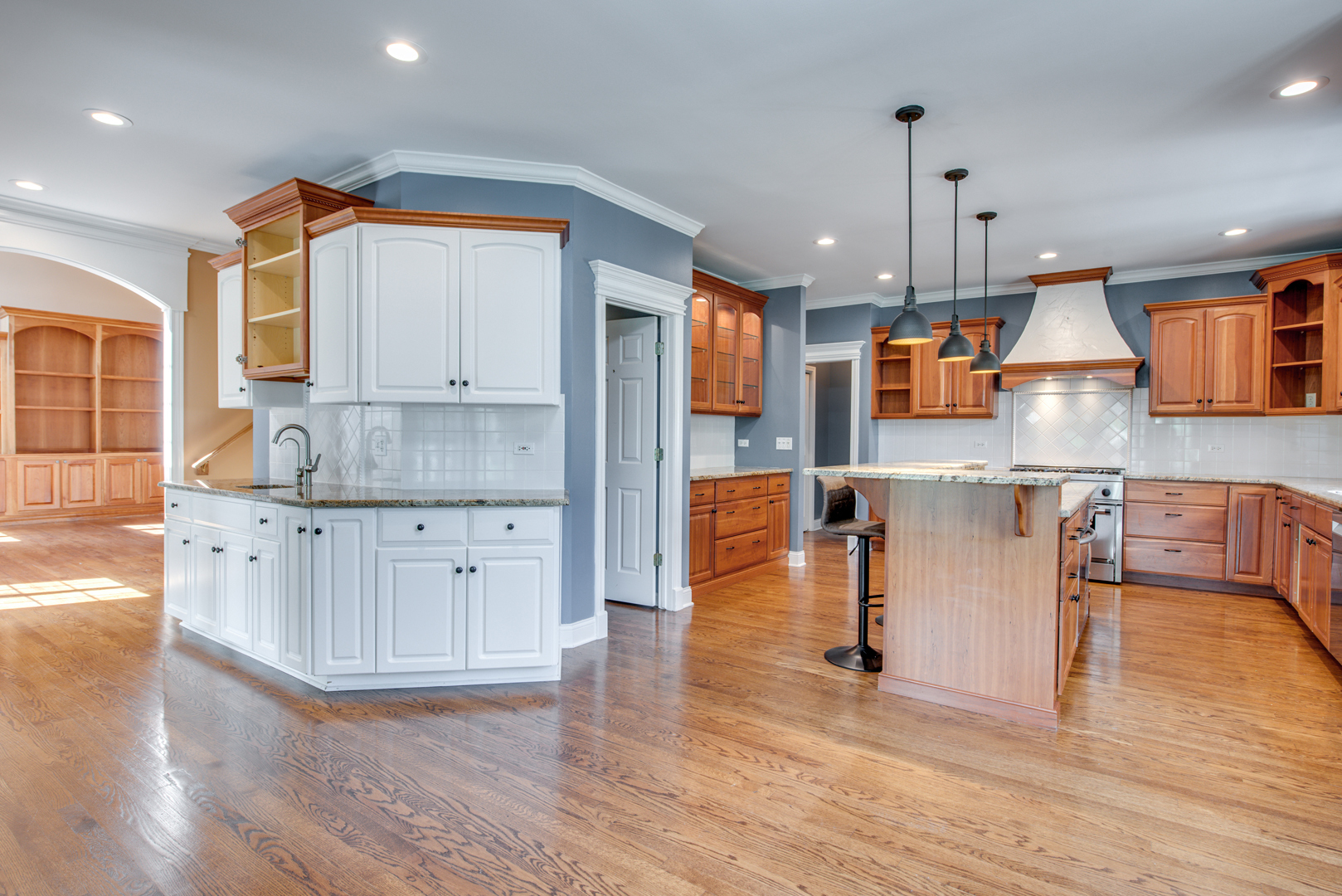 1736 Robert Lane Naperville, IL 60564 - Photo 16 of 69 a kitchen with stainless steel appliances granite countertop a sink cabinets and wooden floor