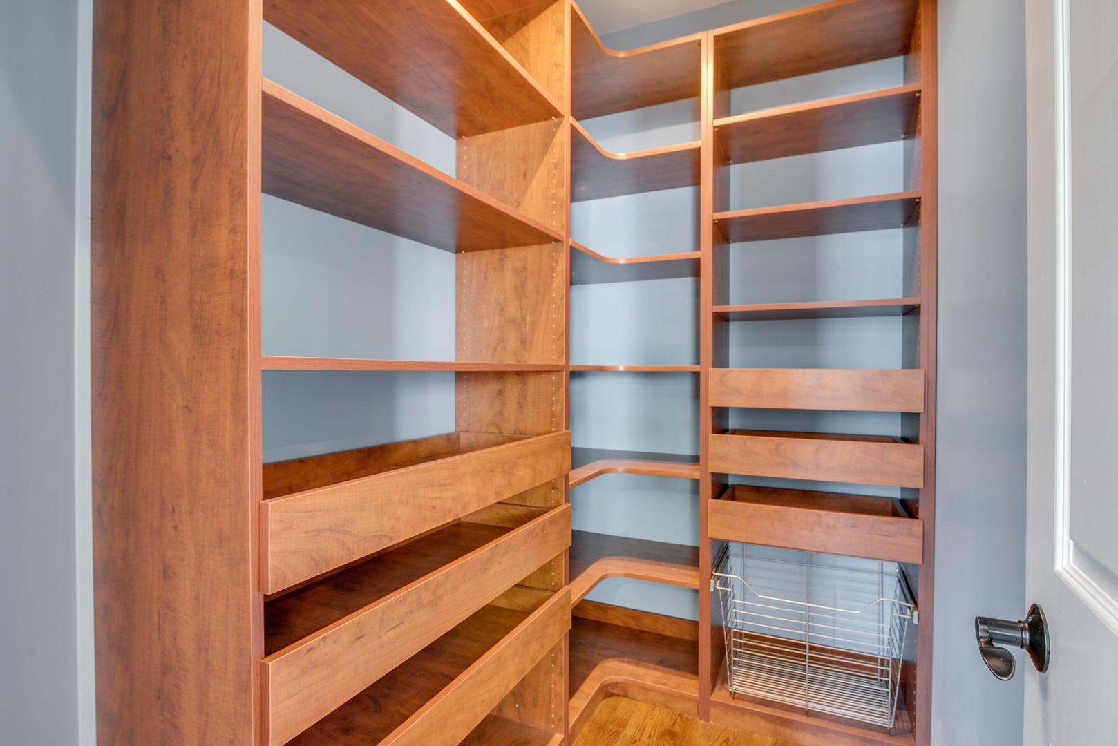 1736 Robert Lane Naperville, IL 60564 - Photo 20 of 69 a view of walk in closet with empty racks