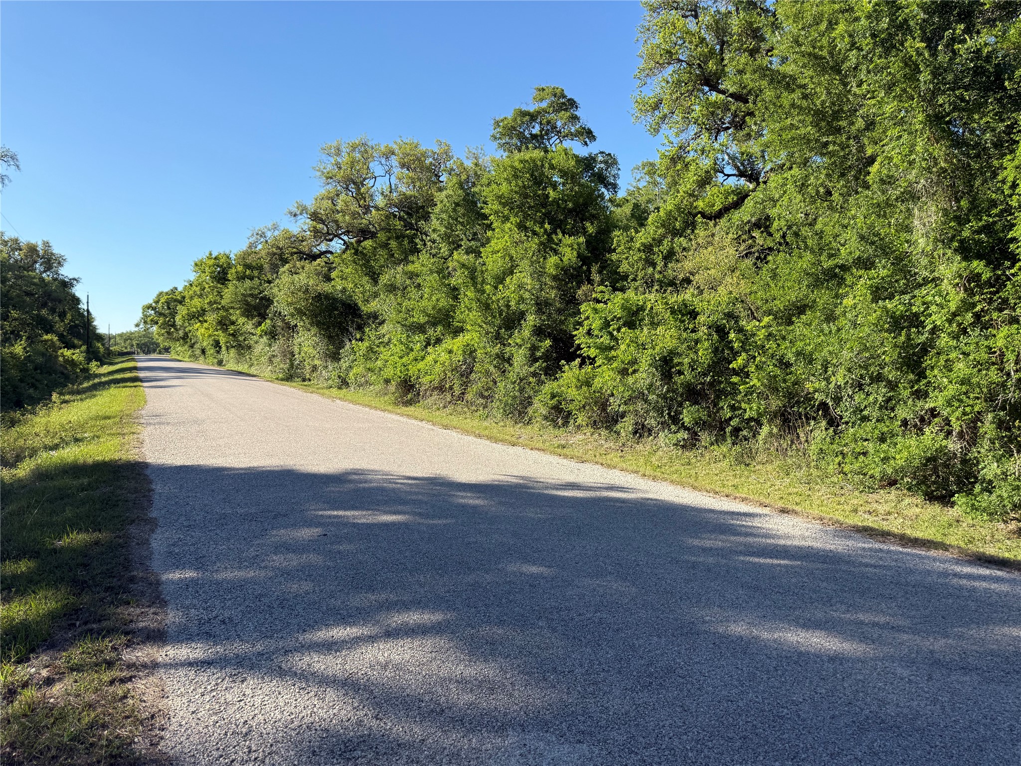 281 Rd Sargent Tx 77414 Road Sargent, TX 77414 - Photo 6 of 23 a view of a yard with a tree
