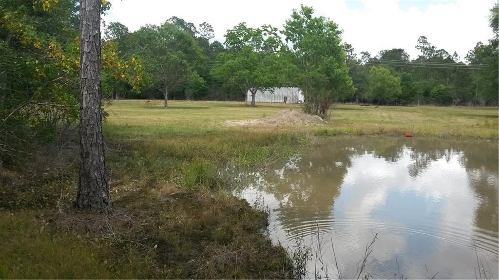 22454 Wiggins Road Mandeville, LA 70471 - Photo 3 of 5