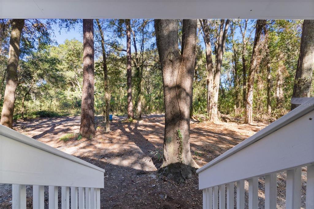 2245 Northwest 63rd Place Ocala, FL 34475 - Photo 35 of 38 a view of a tree front of house