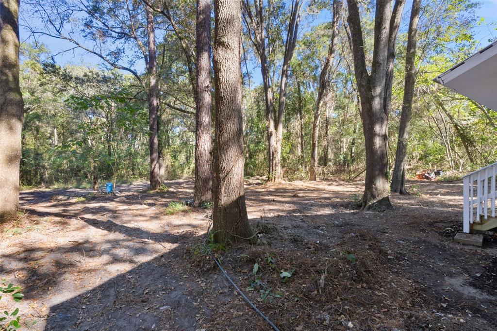2245 Northwest 63rd Place Ocala, FL 34475 - Photo 38 of 38 a view of a tree in the middle of a yard