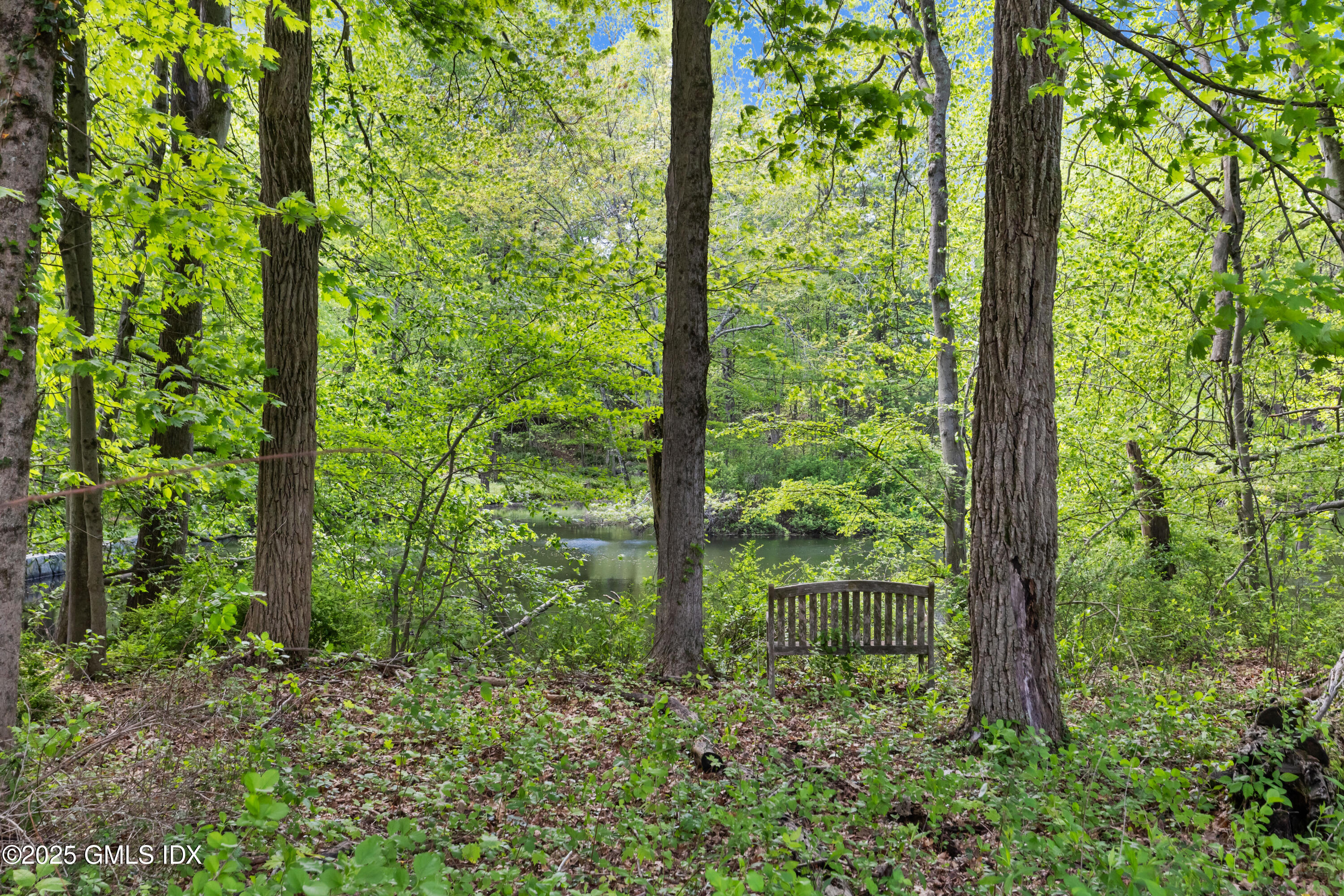 254 Stanwich Road Greenwich, CT 06830 - Photo 49 of 52 a view of a garden