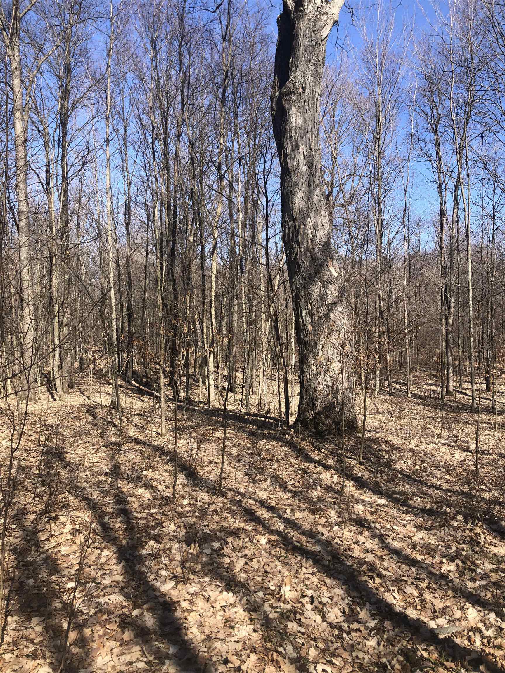 9 South 9 Mile Road Copemish, MI 49625 - Photo 22 of 35