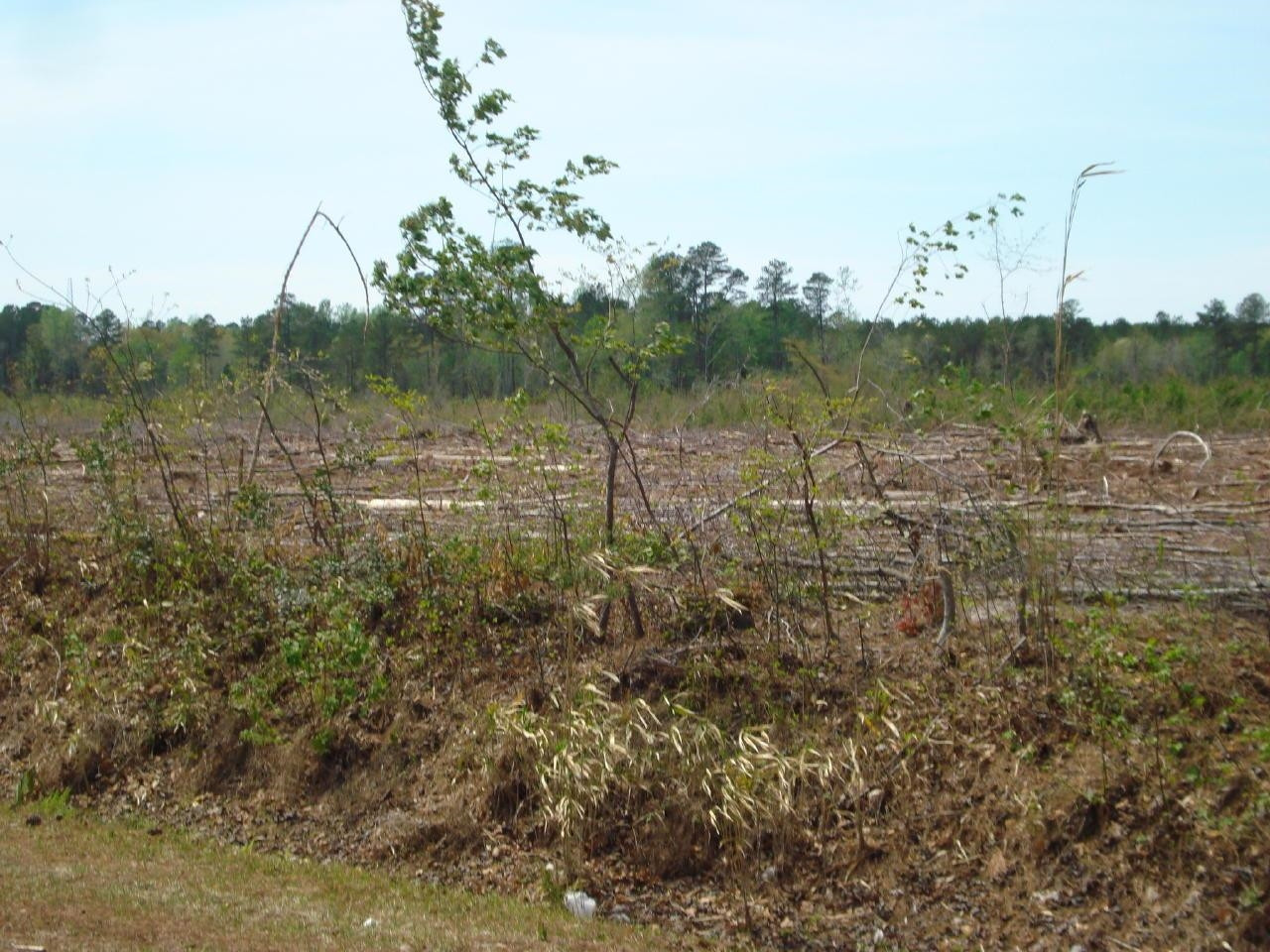 Obj Road Dunn, NC 28334 - Photo 17 of 19 Photo 17