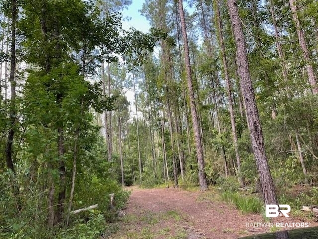 0 Highway 29 Andalusia, AL 36420 - Photo 1 of 9 View of wooded area