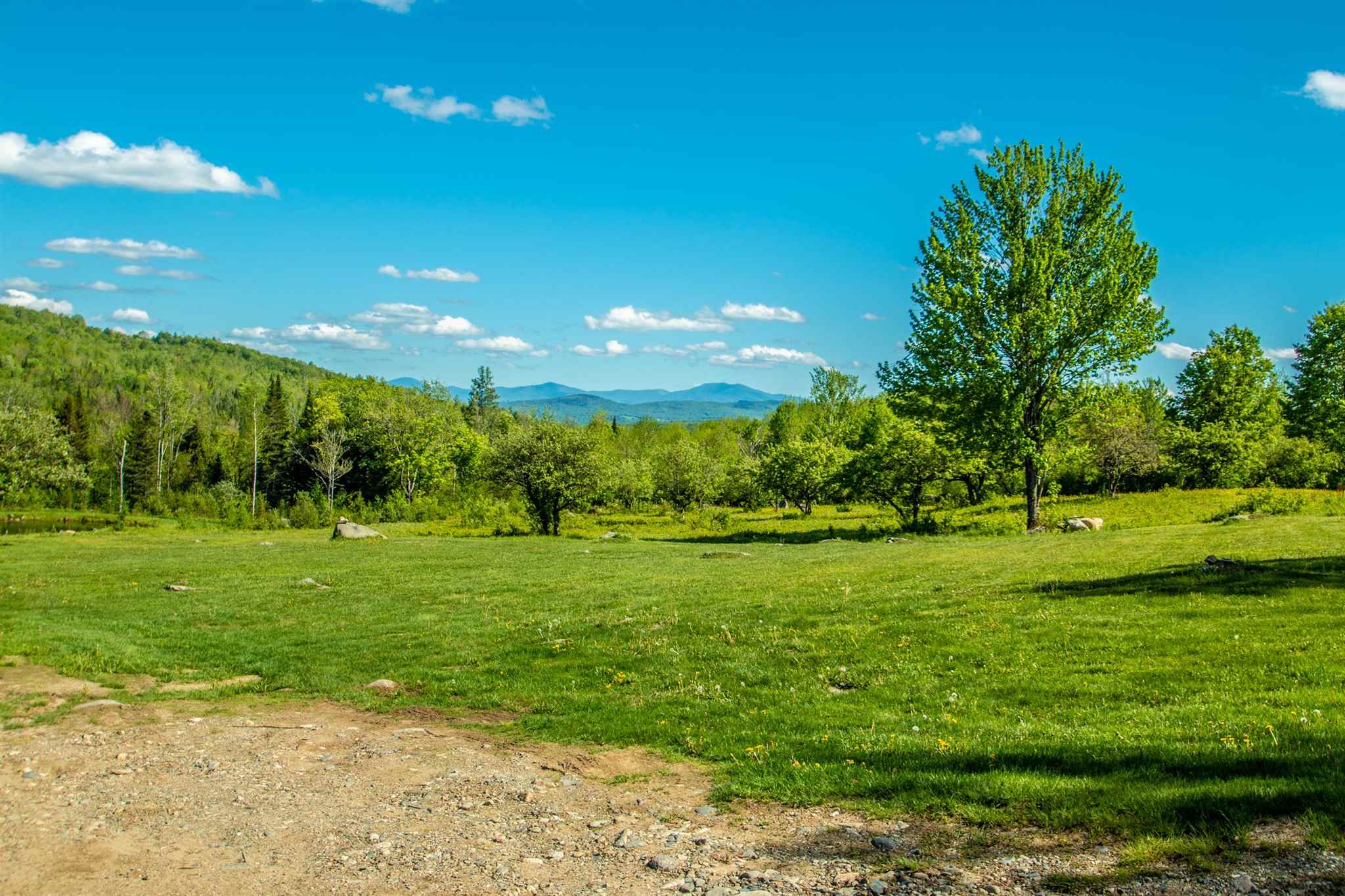 2691 Pond Hill Road Lunenburg, VT 05906 - Photo 4 of 40