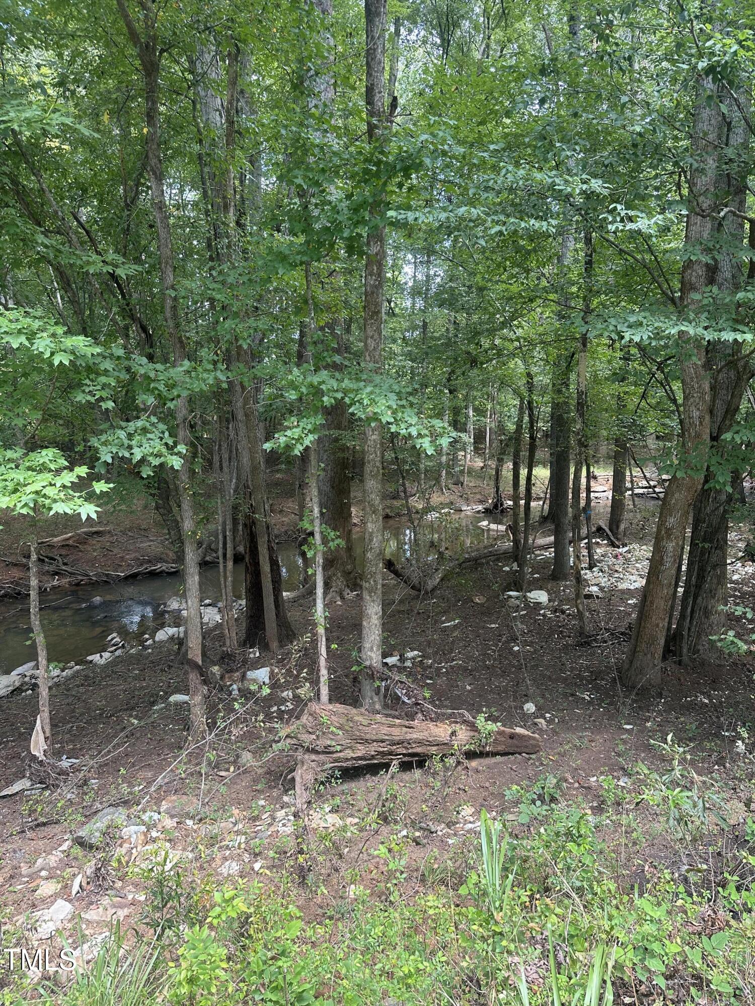 Lot 1 Schley Road Hillsborough, NC 27278 - Photo 3 of 14 a backyard of a house with lots of green space