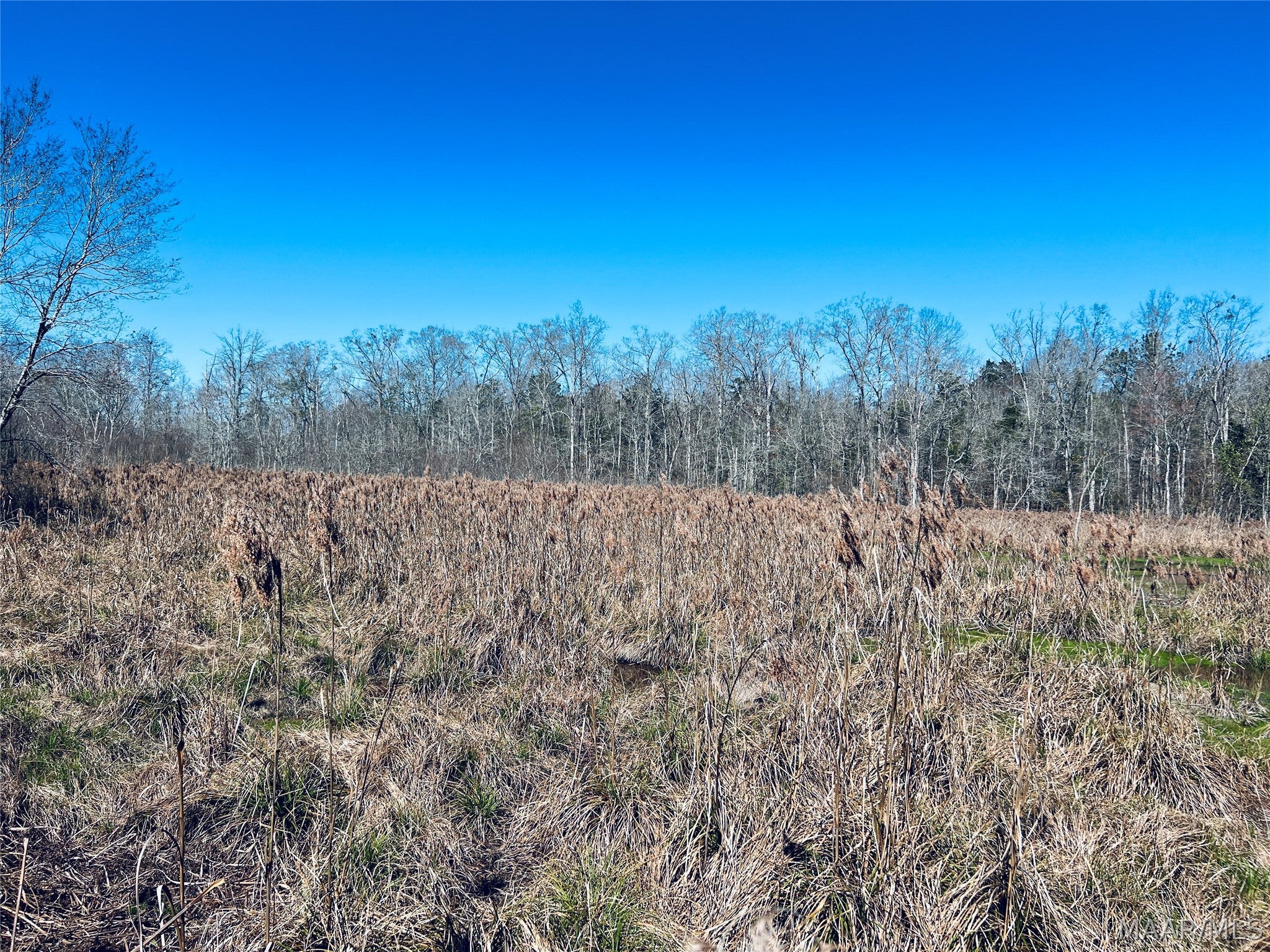 0 Old Meriwether Trail Lapine, AL 36046 - Photo 14 of 25 Gallery Image 14