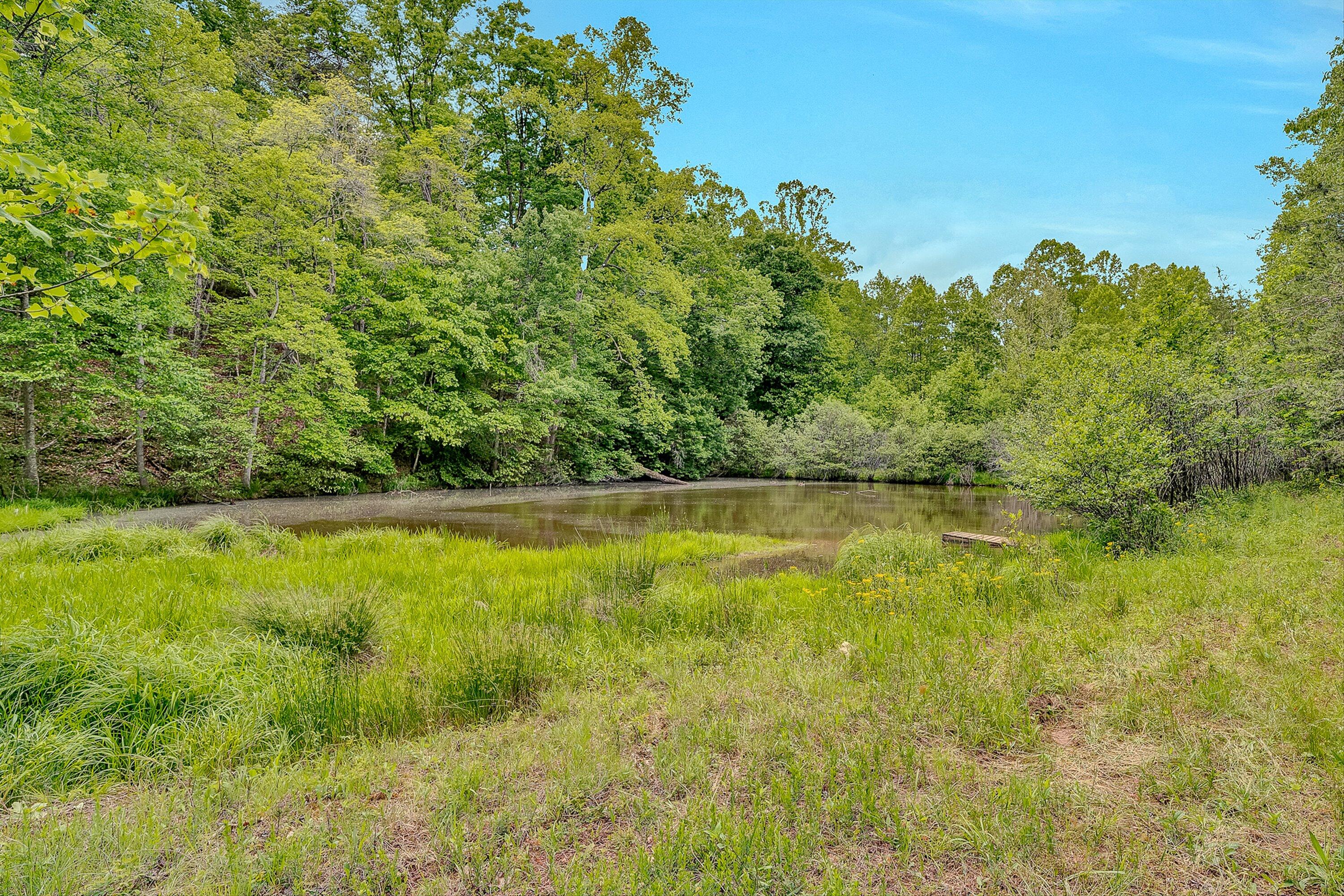 3835 Hardy Road Hardy, VA 24101 - Photo 40 of 58 40-VM-09351