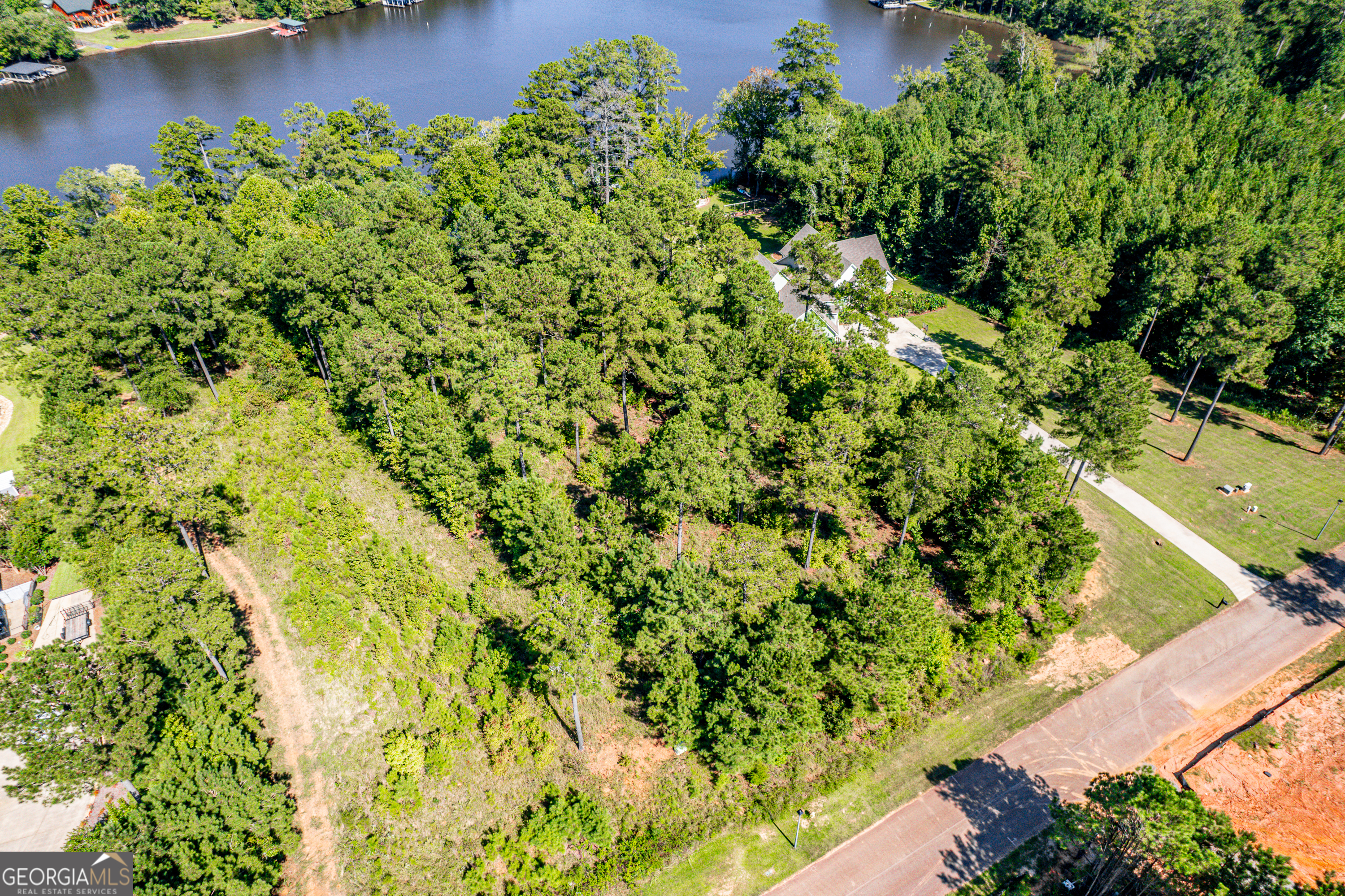 642 Parham Road Northwest Milledgeville, GA 31061 - Photo 2 of 12 a view of a garden with a lake