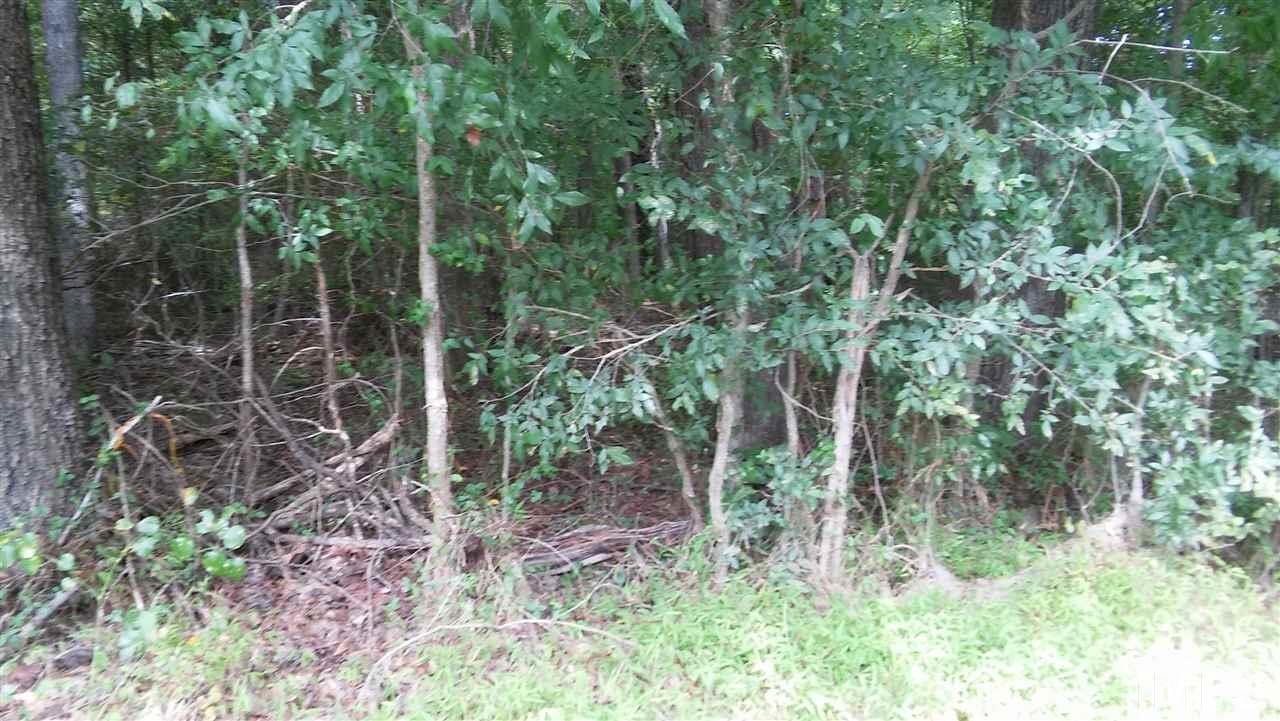 2012 Cothran Road Rougemont, NC 27572 - Photo 3 of 3 a view of forest