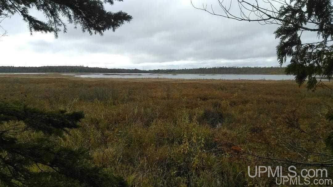 Tbd Schnurer Road, Unit 80 AC Manistique, MI 49854 - Photo 2 of 24 Gallery Image 2