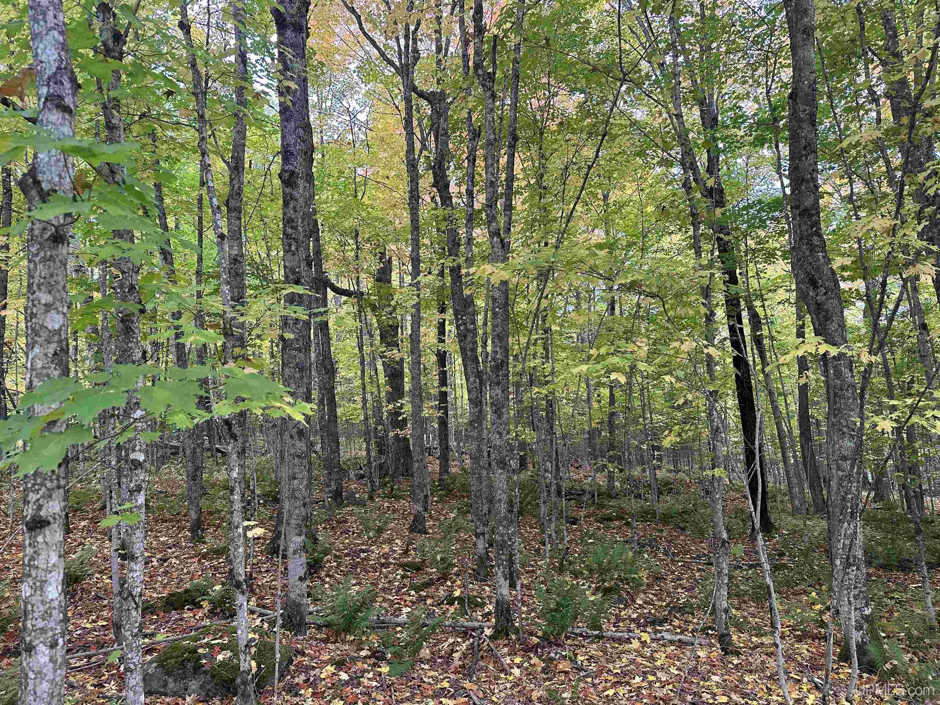 506 Red Road Michigamme, MI 49861 - Photo 16 of 21
