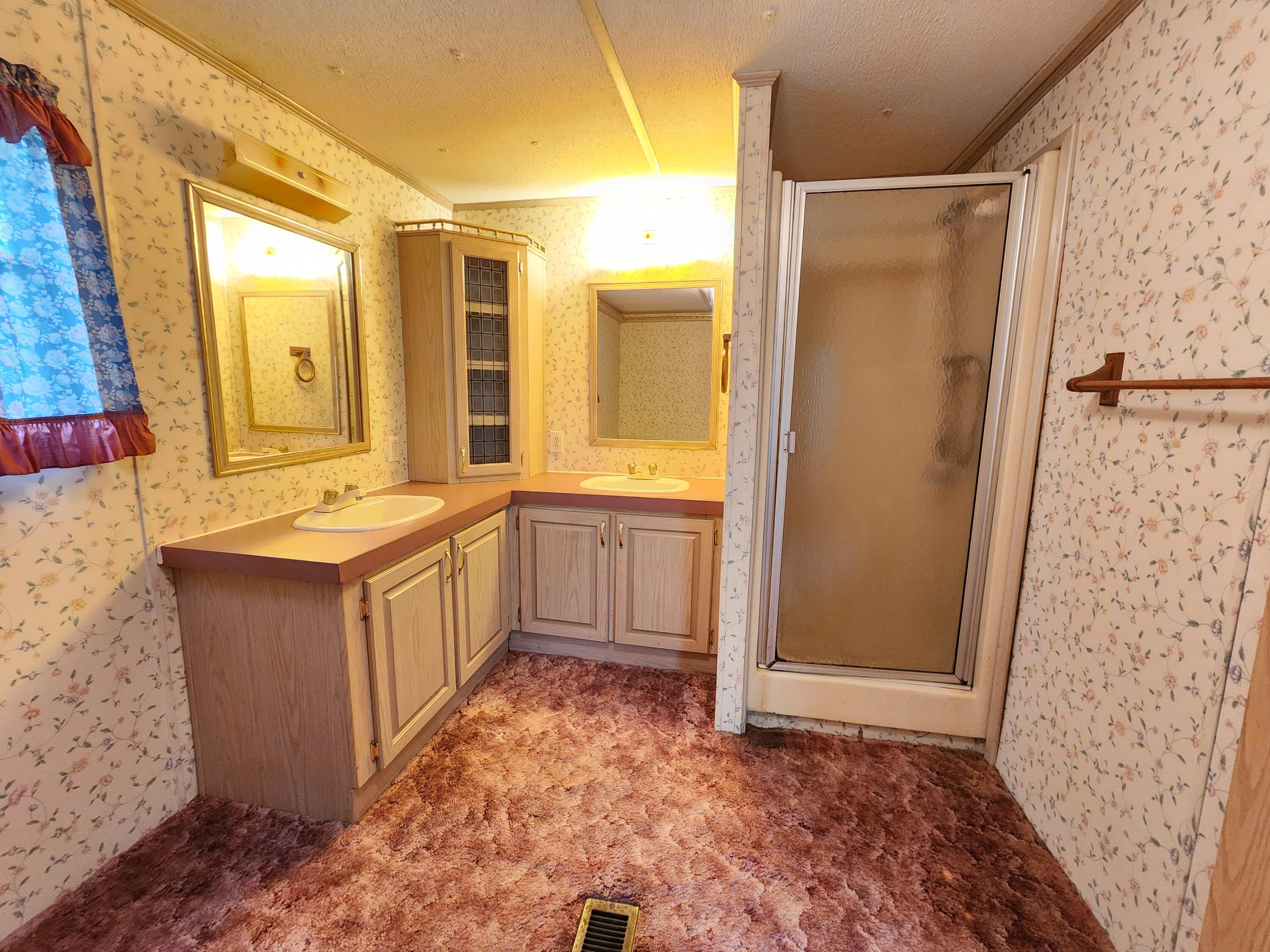 696 Double Branch Road Rocky Mount, VA 24151 - Photo 16 of 34 Primary Bathroom
