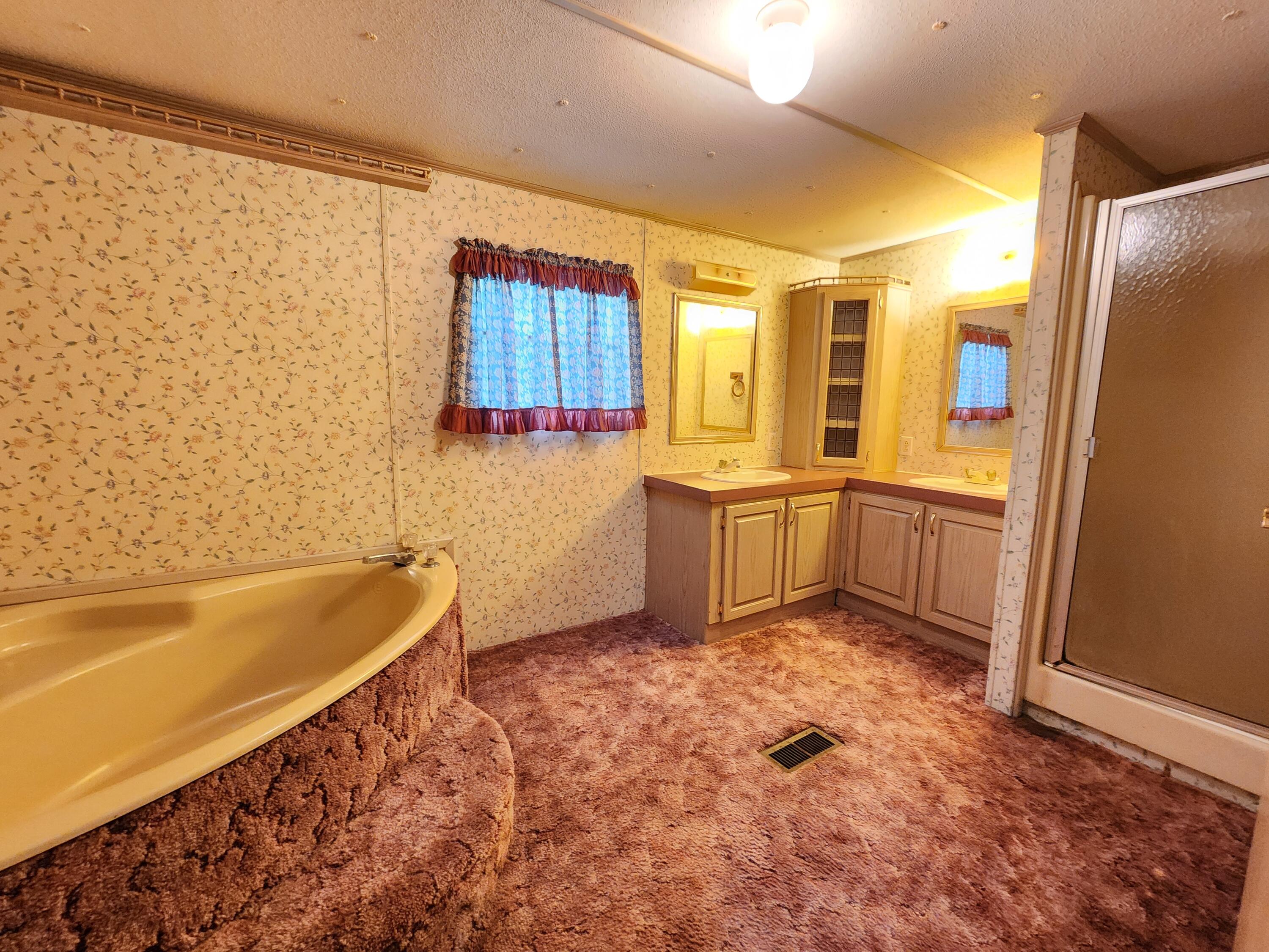 696 Double Branch Road Rocky Mount, VA 24151 - Photo 17 of 34 Primary Bathroom
